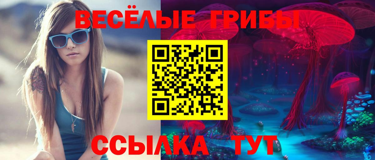 Псилоцибиновые грибы Cubensis  Псилоцибиновые грибы GOLDEN TEACHER  Новосибирск  Вход с VPN 