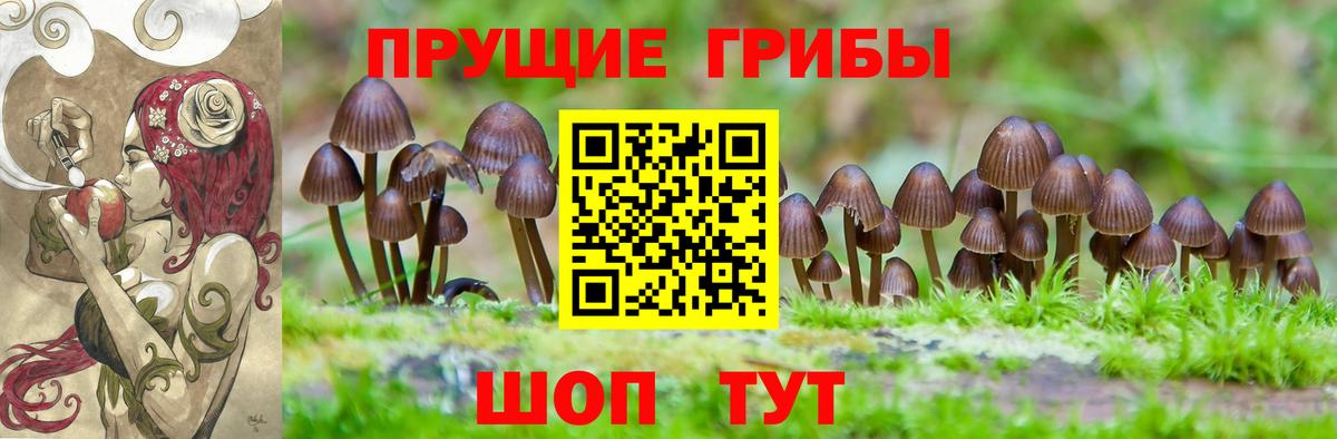 Галлюциногенные грибы прущие грибы Новосибирск